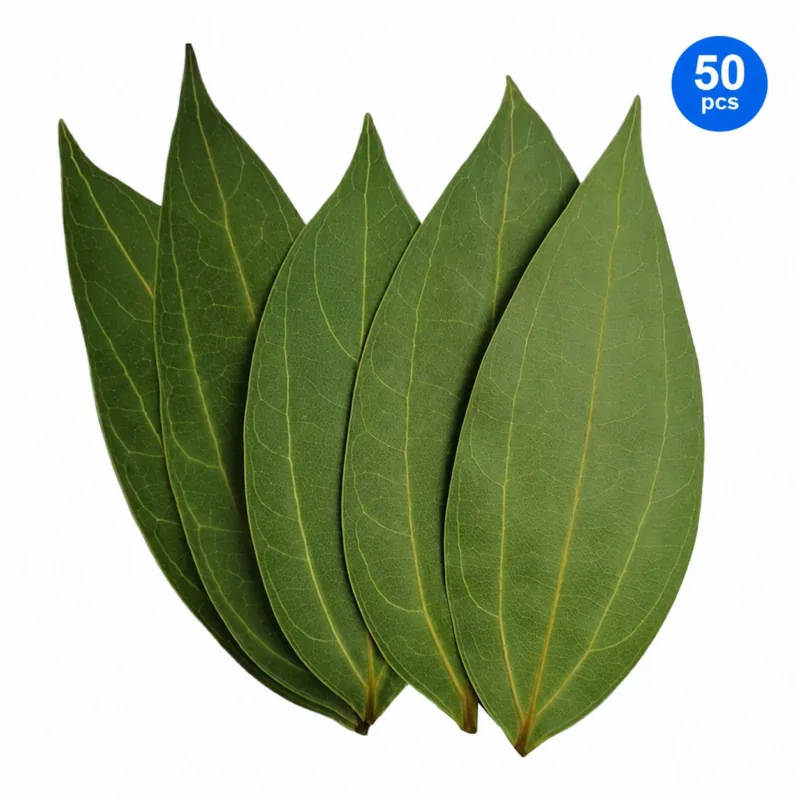 Natural cinnamon leaves pack with fresh green texture isolated on white background for herbal use, spice packaging, and natural product listing.