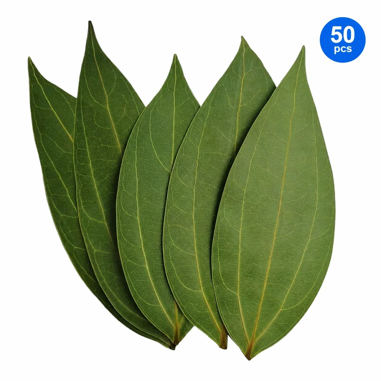 Natural cinnamon leaves pack with fresh green texture isolated on white background for herbal use, spice packaging, and natural product listing.