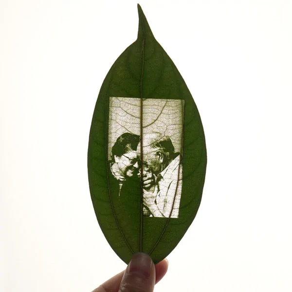 Cinnamon Leaf for Engraving (50pcs) - view 3